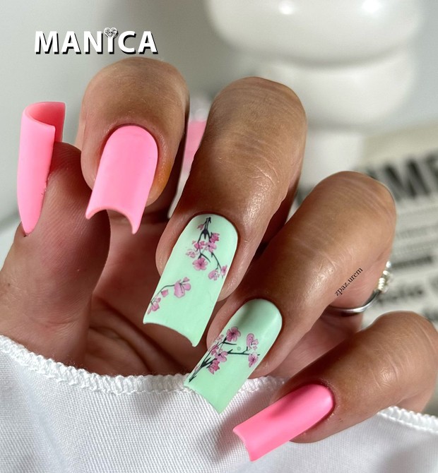 066 Daisy Paradise 